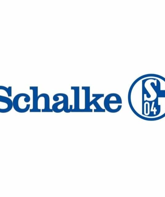 avatar Schalke Việt Nam