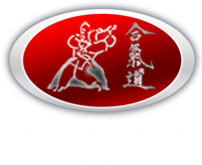 C.D.E Aikido Pinto